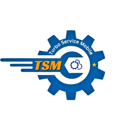 TSM Tool Rent [12 hours]✅v1
